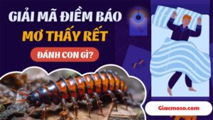 Mơ thấy rết đánh số mấy? Chiêm bao về con rết tốt hay xấu