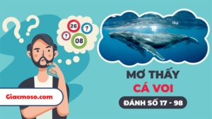 Nằm mơ thấy cá voi điềm báo gì? Đánh con lô số mấy?