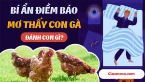 Nằm mơ thấy gà đánh số mấy? Giải mã điềm báo về gà