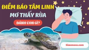 Nằm mơ thấy rùa đánh số mấy? Điềm báo lành hay dữ?