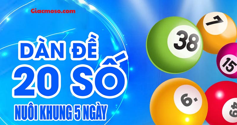 Tổng quan chung về nuôi dàn đề 20 số khung 5 ngày