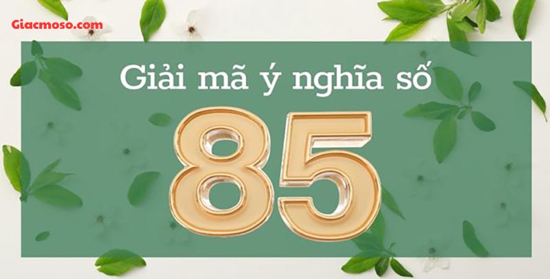 Phân tích ý nghĩa của con số 85